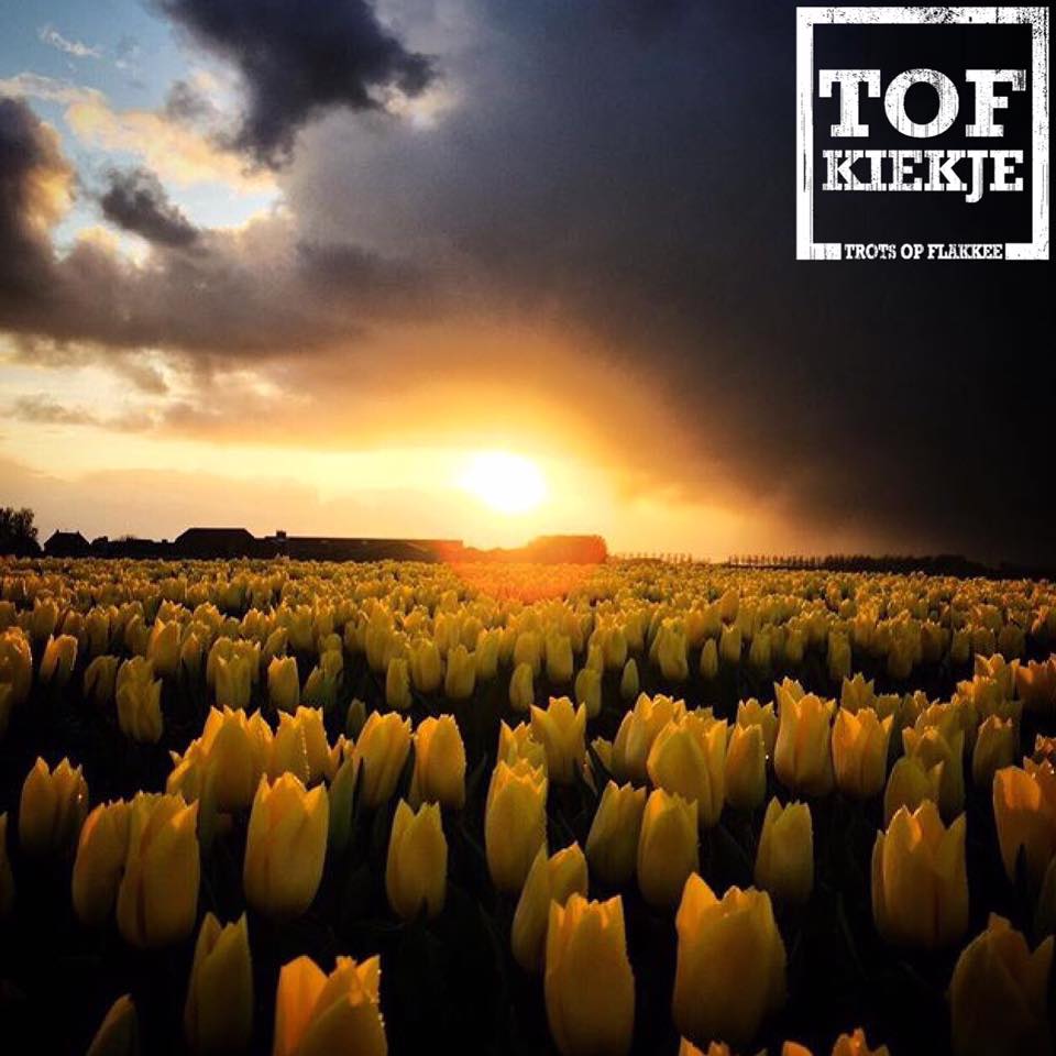 Tof Kiekje van Flakkee!